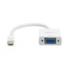 Mini DisplayPort to VGA Adapter