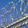 Flattrap razor wire