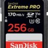 SanDisk 256GB Extreme PRO SDXC UHS-I Card - C10, U3, V30, 4K UHD, SD Card - SDSDXXY-256G-GN4IN in Kenya