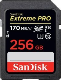 SanDisk 256GB Extreme PRO SDXC UHS-I Card - C10, U3, V30, 4K UHD, SD Card - SDSDXXY-256G-GN4IN in Kenya