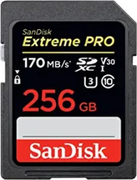 SanDisk-Extreme-Pro-256GB-–-SDSDXXY-256G-GN4IN in Kenya