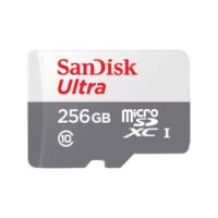 SanDisk-MicroSD-CLASS-10-100MBPS-256GB-without-Adapter-500x500 in Kenya