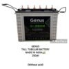 Genus 250Ah Solar Battery Heavy Use Tall Tubular Solar Battery Maintenance Free in Kenya