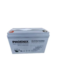 Phoenix 12V 100ah Deep Cycle Solar Battery in Kenya
