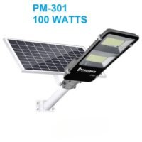 Premier 100 WATTS SOLAR PANEL FLOOD LIGHT in Kenya