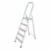 5 Step D-Type Household Ladder