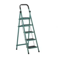 5 Step Steel Ladder