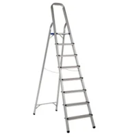 8 Step Indoor and Outdoor Household Ladder