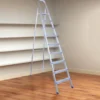 9 Step Household Ladder