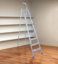 9 Step Household Ladder