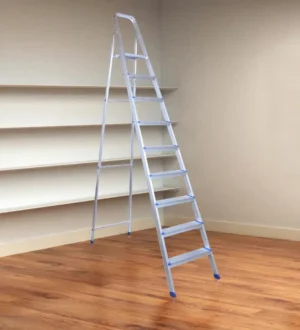 9 Step Household Ladder